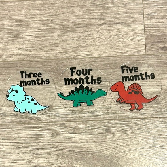Dinosaur Baby Milestone Discs - Picture 3 of 6
